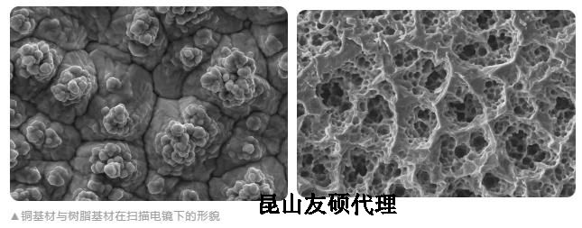 崇明蔡司崇明扫描电镜