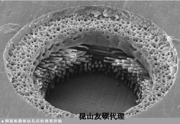 崇明蔡司崇明扫描电镜